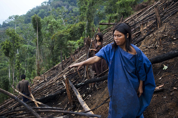 Ashaninka������������ӡ�ڰ�����֮һ