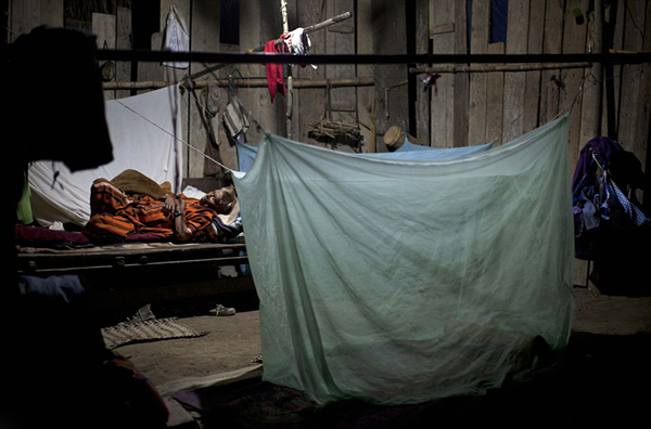 Ashaninka������������ӡ�ڰ�����֮һ