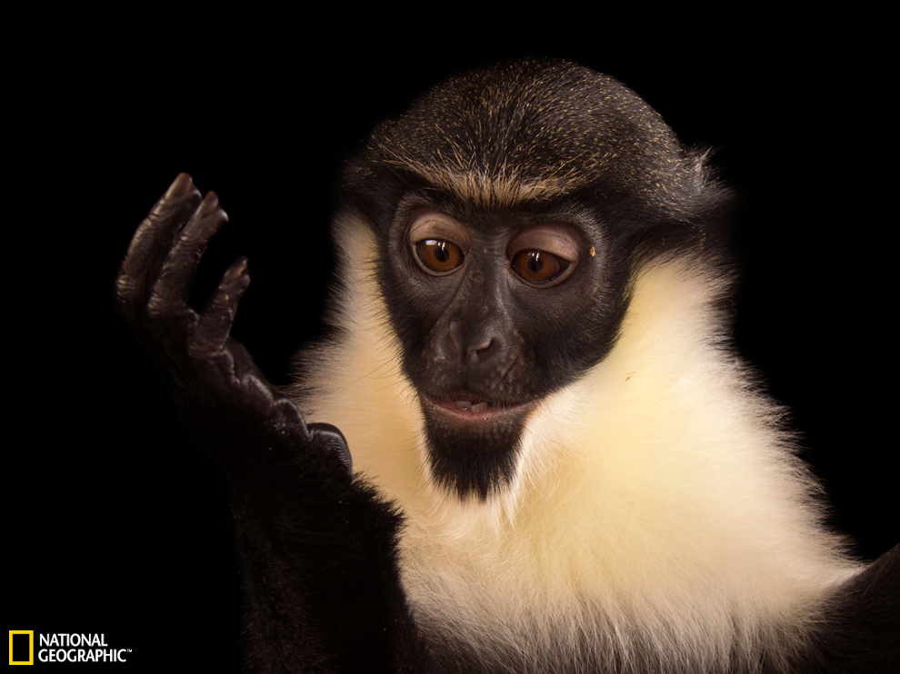 ����������԰�Ĵ����ȳ�β��