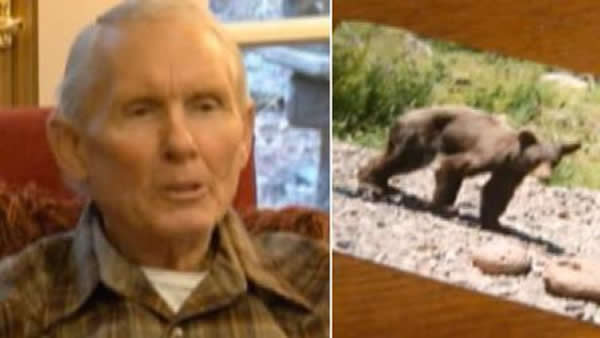 美国男子登山被山狮袭击,黑熊母子路过救命