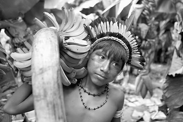 研究人员对前哥伦布时期人类在亚马逊森林定居范围的大小问题争论不休
