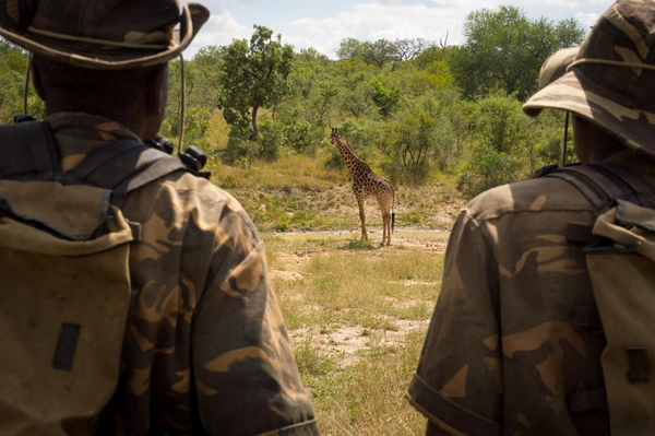 Ϭţ�����ߵĿ��ǣ��ϷǴ���Ѳ��