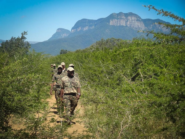 Ϭţ�����ߵĿ��ǣ��ϷǴ���Ѳ��