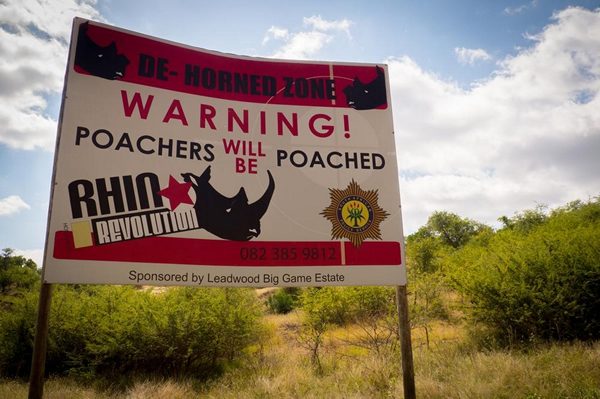 Ϭţ�����ߵĿ��ǣ��ϷǴ���Ѳ��