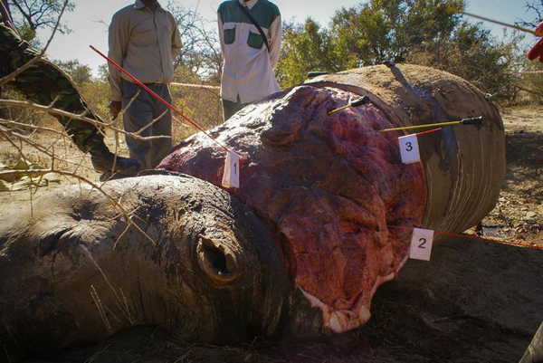 Ϭţ�����ߵĿ��ǣ��ϷǴ���Ѳ��