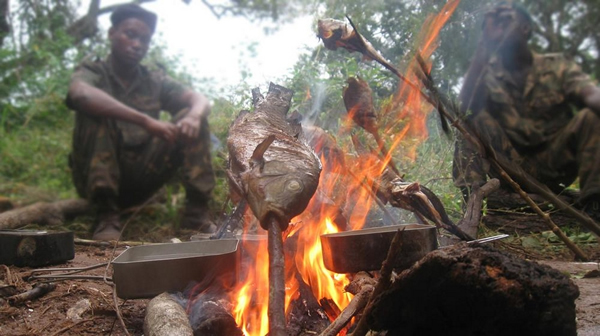 Ϭţ�����ߵĿ��ǣ��ϷǴ���Ѳ��