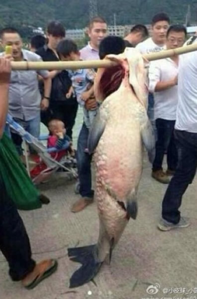 㽭˲һ˸ߴ㣬ɽ廬Σ