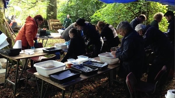 Ӣ������ʯ�󸽽��ھ���Ŵ�ʳ��к�����ǧ��ǰ������ȹ�