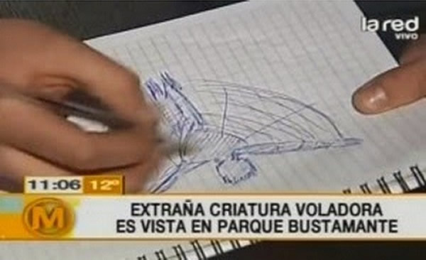 �������������Ŀ���鱨��Ҳ���𵱵ص���̨��ӵ���ۡ�