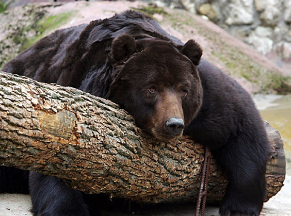 �������ݽ��վ����������ܷ����ڳ��ڵ��¼�