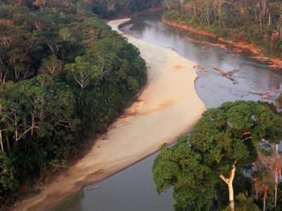 伊朗首都德黑兰老鼠泛滥成灾 - 神秘的地球 科