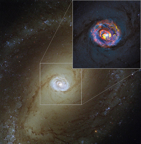 天文学家发现一个黑洞正在吸收星系NGC1433的巨量物质