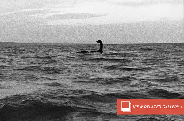 Mysteries of Giant Fish, Loch Ness and Sea Serpents