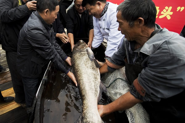 ����ʡ�żҽ��д����ؽ���ˮ��100�����㽫�Ƴ��������罷��ͷ