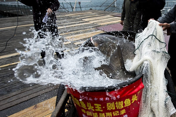 ����ʡ�żҽ��д����ؽ���ˮ��100�����㽫�Ƴ��������罷��ͷ