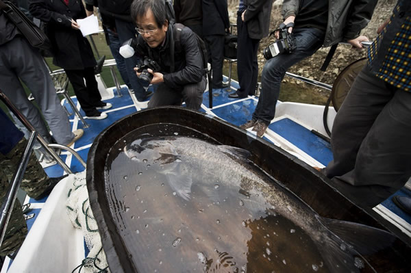 ����ʡ�żҽ��д����ؽ���ˮ��100�����㽫�Ƴ��������罷��ͷ