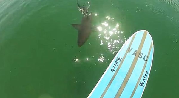 �������ӳ�������3�״����