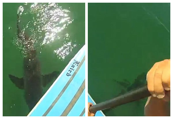 �������ӳ�������3�״����