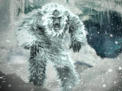 广西野人调查:元宝山地区村民称曾猎杀过野人