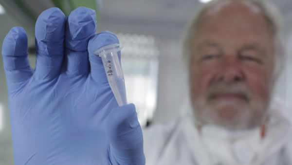 喜马拉雅山雪人毛发DNA检验结果发现可能是棕熊和古代北极熊的混种