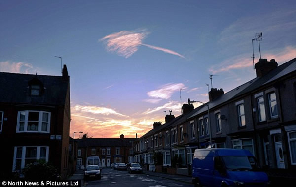 Ӣ�����׿�����ٵ���ճ��ֵġ���ͷ�ơ�