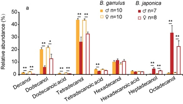 ������ζ�źŵķֻ����ܴٽ�����������γ�