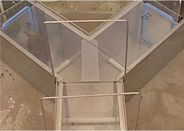 ������ζ�źŵķֻ����ܴٽ�����������γ�