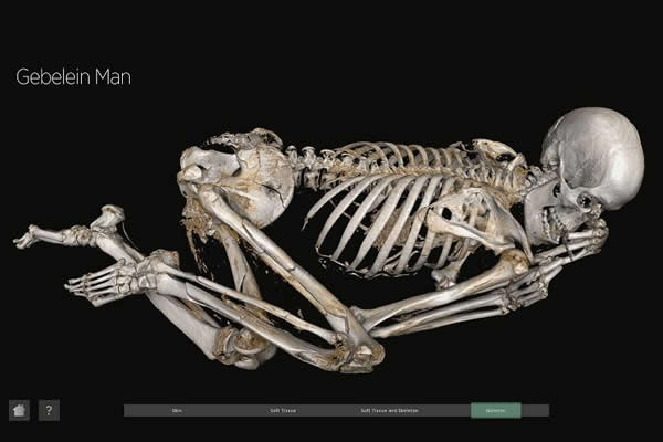 5500��ǰľ����������ʵ���򣺱����ִӱ����ɱ����