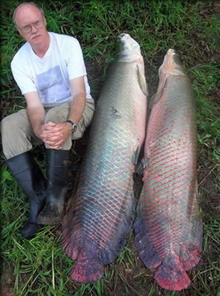 ������������ȴ����ַ������͡��޹����㡱