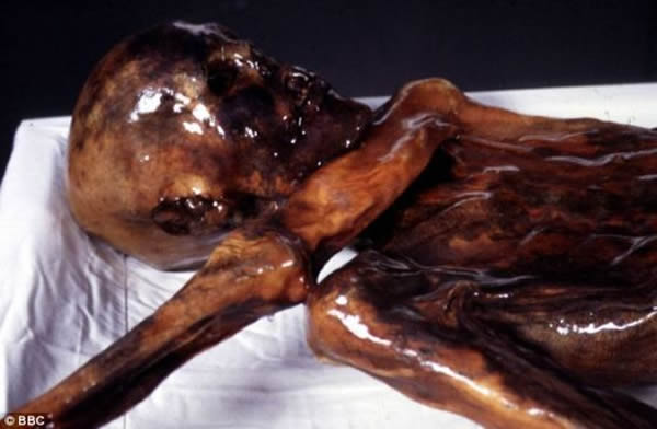 冰人“奥茨”是1991年9月在阿尔卑斯山的奥茨塔尔地区发现的,也因此得名。发现地点靠近奥地利-意大利边境的锡米拉温山和霍斯拉伯乔奇地区