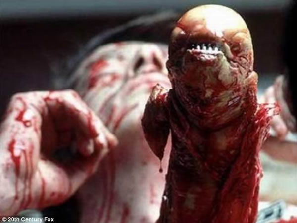 见的紫色鳗须虾虎鱼