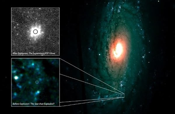 ��ѧ�ҷ��ֵĳ�����iPTF13bvnͼ�����䱬��ǰ�ġ�������