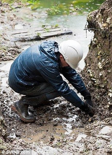 距离巨石阵1英里处的考古发掘地发现了青蛙腿。