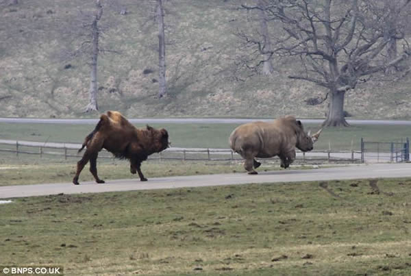 ���ջ��ӷ�ŭ��ͷ�Ͷ�Ϭţƨ��