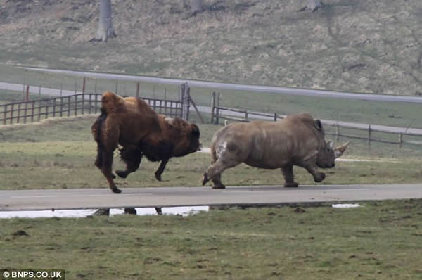 ���ջ��ӷ�ŭ��ͷ�Ͷ�Ϭţƨ��