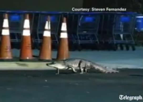 ����һ���ֶ��곬����ǰ���˲���֮�͡���������