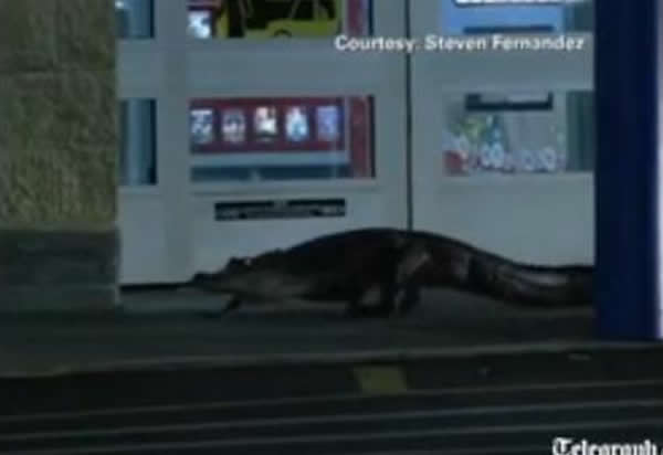 ����һ���ֶ��곬����ǰ���˲���֮�͡���������