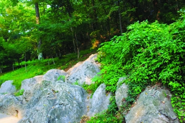 ���ع��������Եĵ��ʾ���