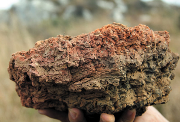 现场找到的砺石