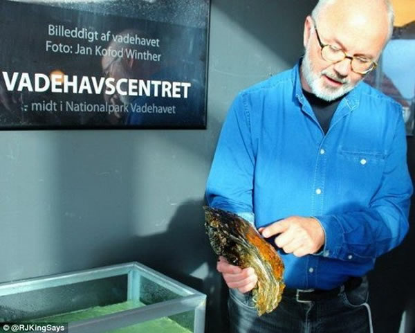 ֻĵԴţǳ޴䱴ϻСĵ