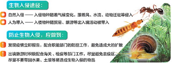 �����й������������Ѿ�ȷ����544��