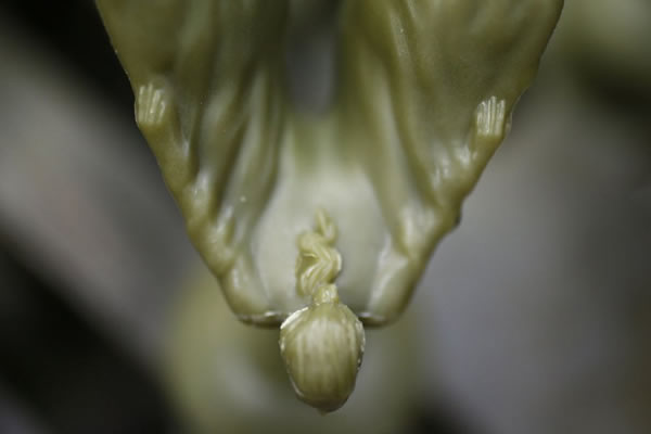 飞天女神车头立标的蜡模型,起伏的衣服和头发等细节清晰可见。