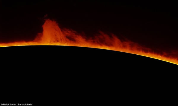 ҵ������ѧ��ͨ��С��������Զ�����Լҵĺ�԰����̫��д����Ƭ