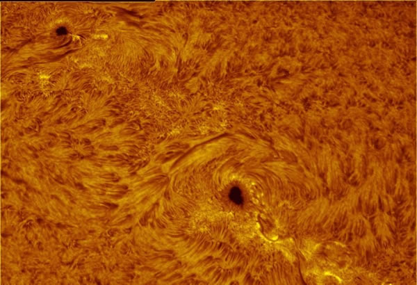 ҵ������ѧ��ͨ��С��������Զ�����Լҵĺ�԰����̫��д����Ƭ