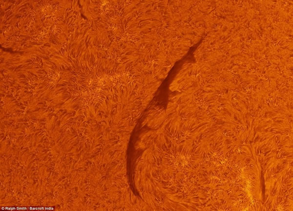 ҵ������ѧ��ͨ��С��������Զ�����Լҵĺ�԰����̫��д����Ƭ