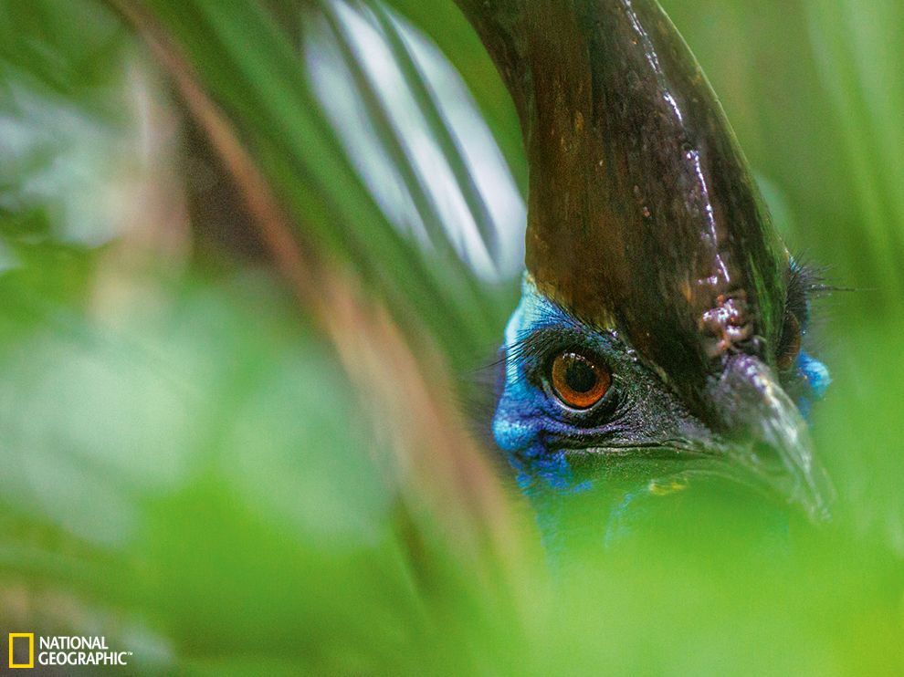 �Ĵ����Ǻ���