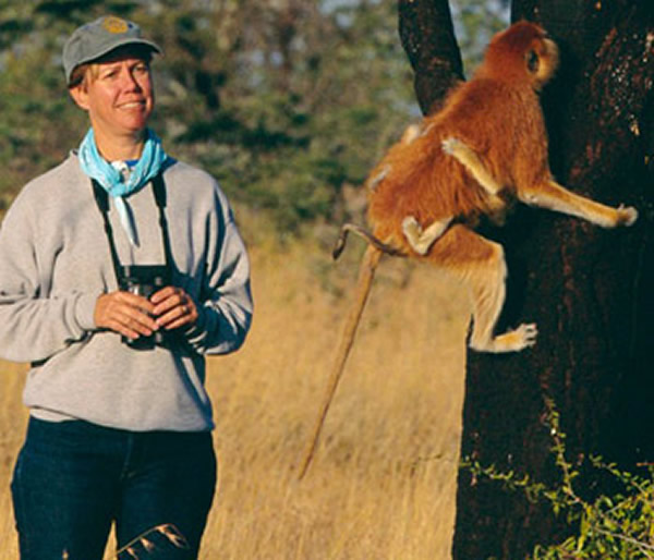 灵长类动物大脑一组神经元能对蛇做出选择性的迅速反应