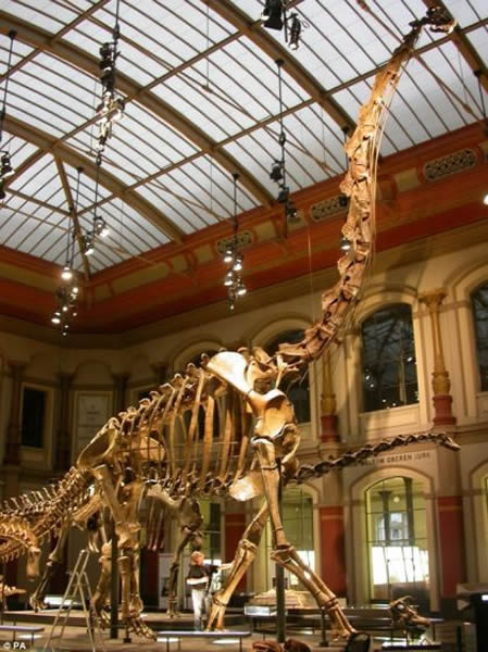 ֲݵʯѧҾоֿܹ֮ӵӴҪ鹦ǵĹؽڡĹؽڱִ½ز鶯ܹܸͣѹ