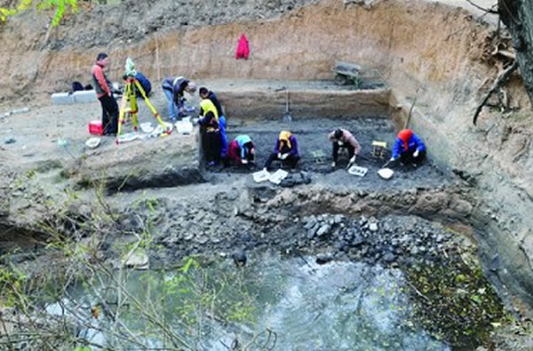 青岛大珠山旧石器时代遗址出土大量化石和石器