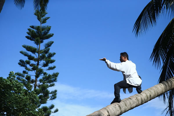 海南大学椰子树上练武功的神人符春福网络走